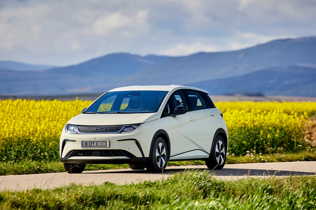 BYD Dolphin G DM-i