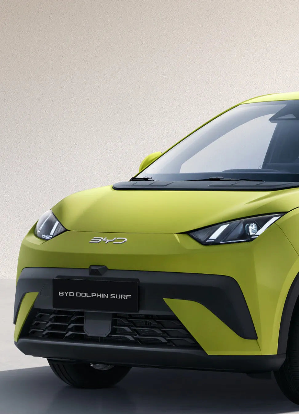 BYD Dolphin Surf